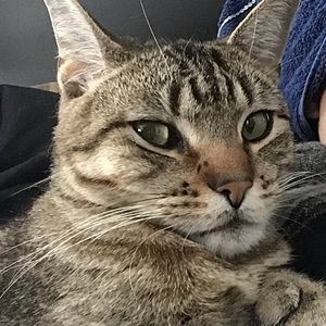 Meet your Posher, Breck